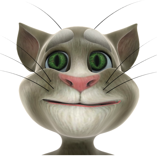 Talking Tom Cat