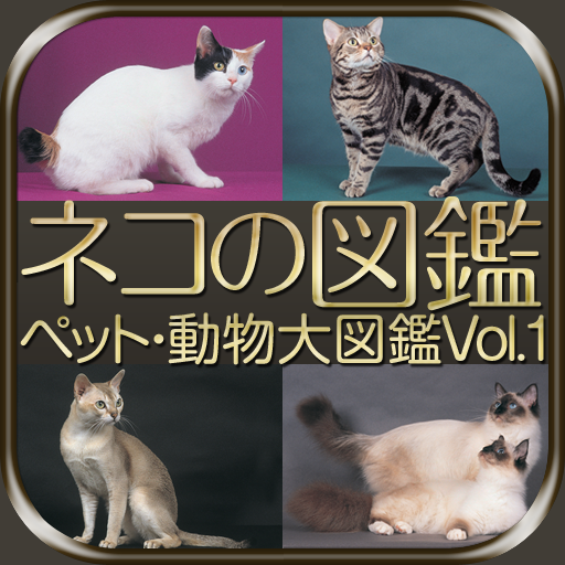 ネコの図鑑　ペット・動物大図鑑 Vol.1　HD