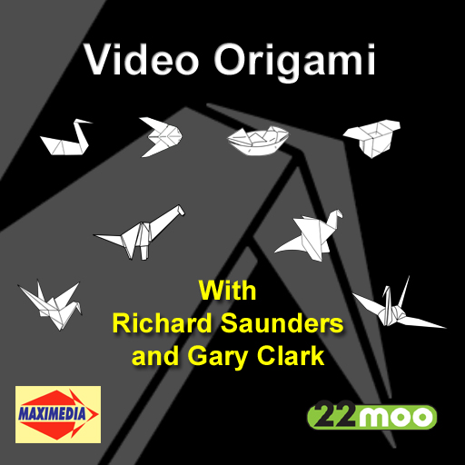 Video Origami : First Folds
