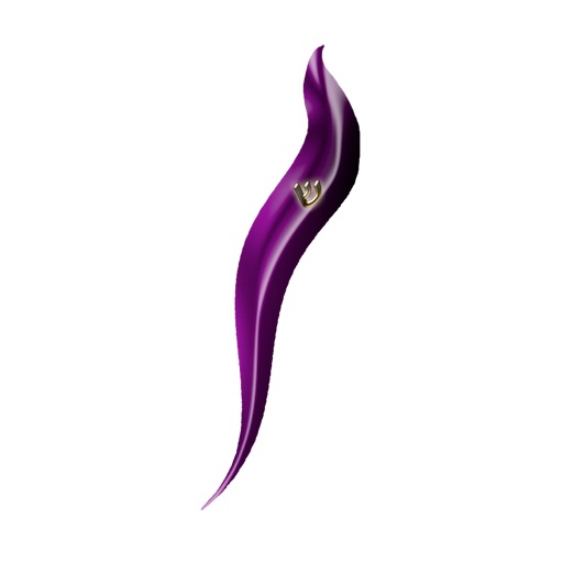 iMezuzah Curve Purple