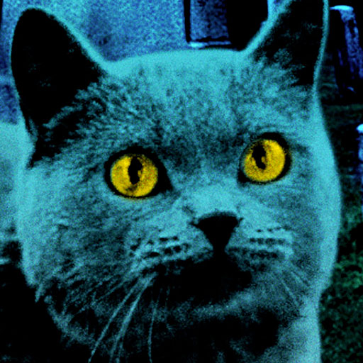 PET SEMATARY icon