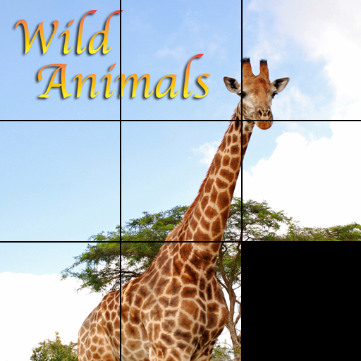Wild Animals Slider Puzzle