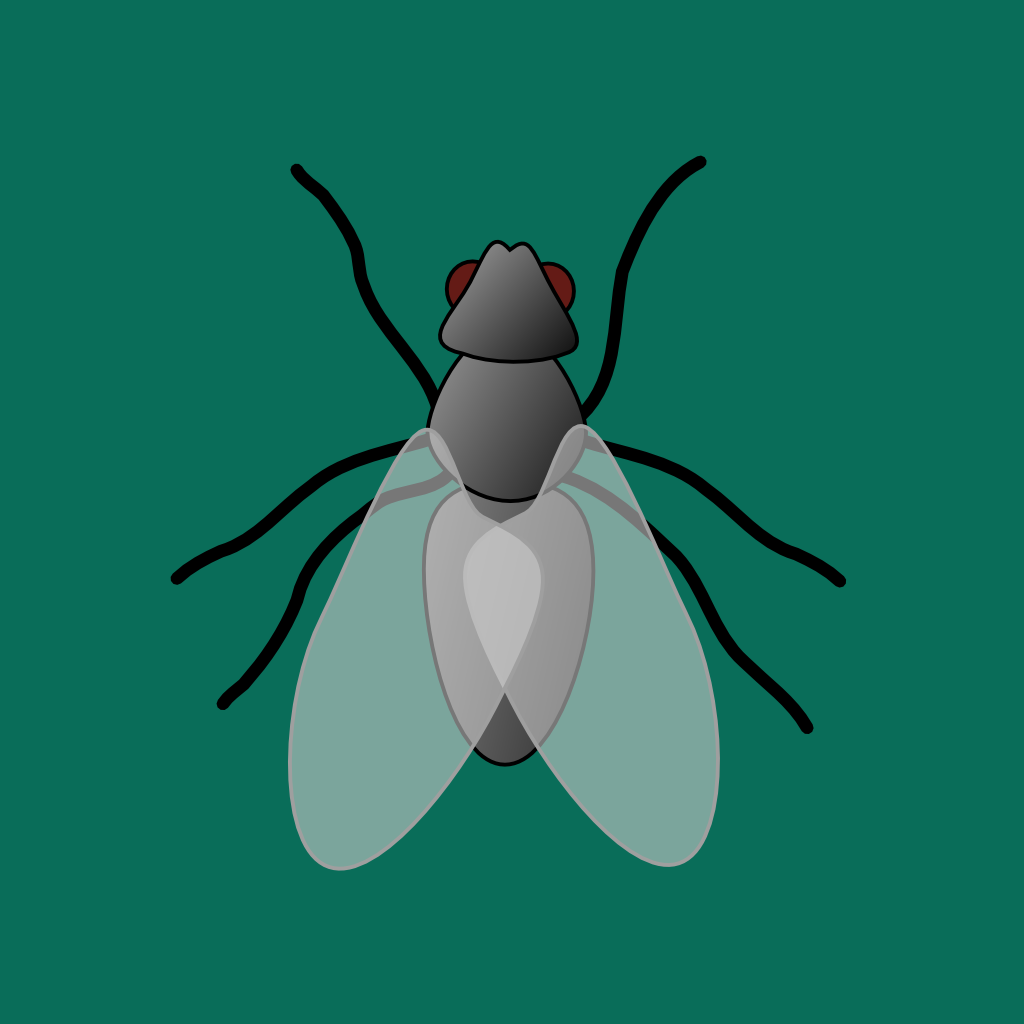 Flies Killer icon