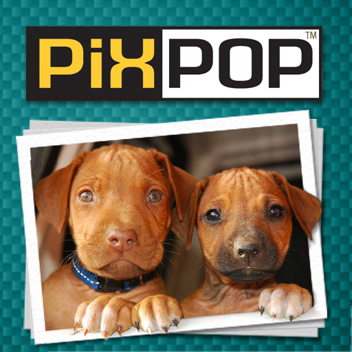 PixPop™ Dogs