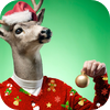 Sweater Booth - Christmas Cheer Maker by go forth apps icon