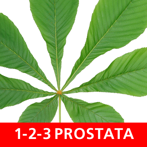 Das 1-2-3 der Prostata