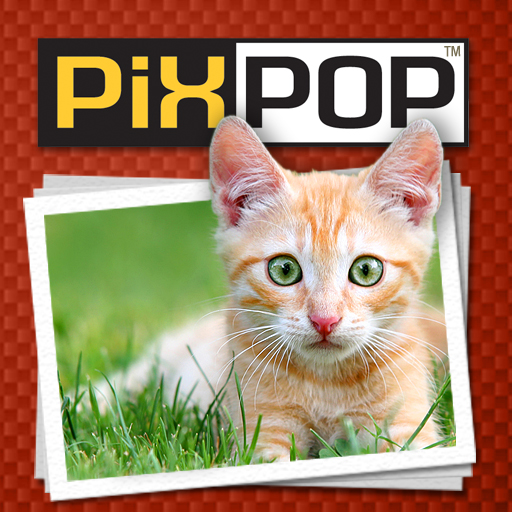 PixPop™ Cats