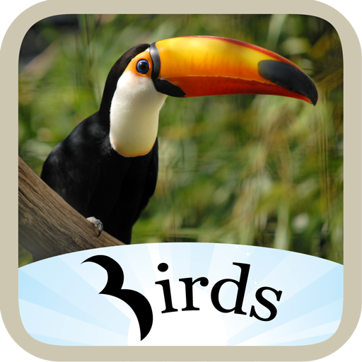 Birds Dictionary