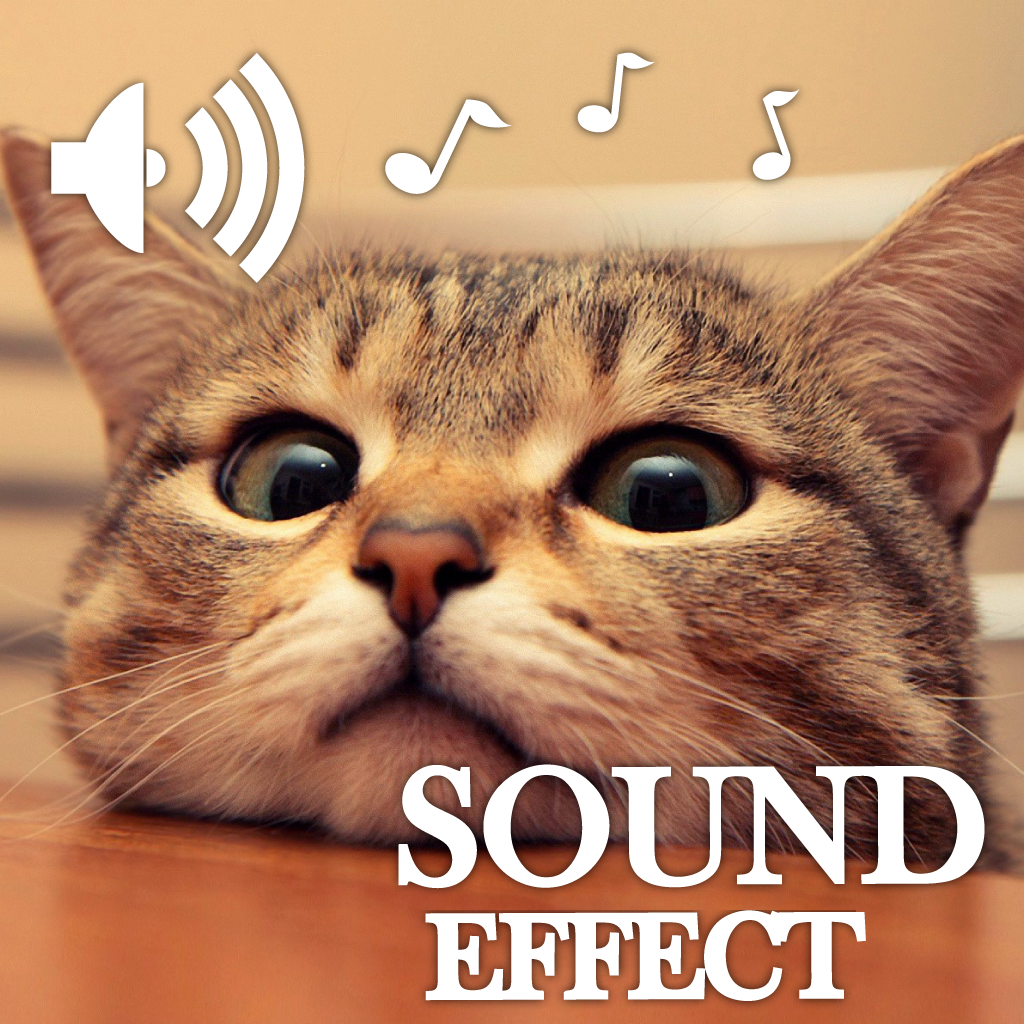 Amazing Animal Sounds