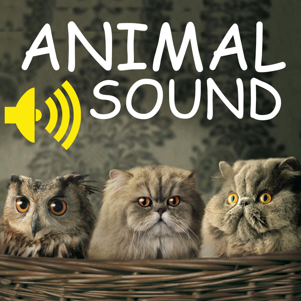 Animal Funny Sounds
