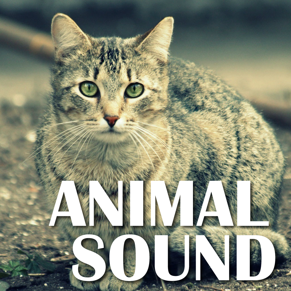 An Animal Sound Collection
