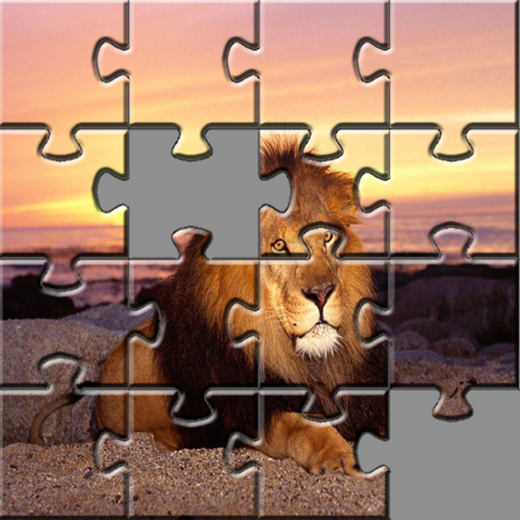 Jigsaw Puzzle Man