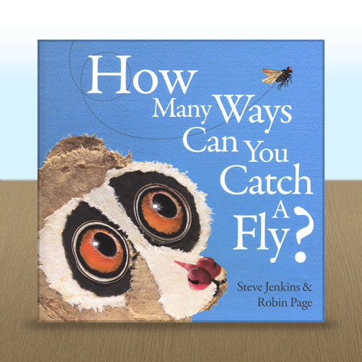 How Many Ways Can You Catch a Fly? by Robin Page