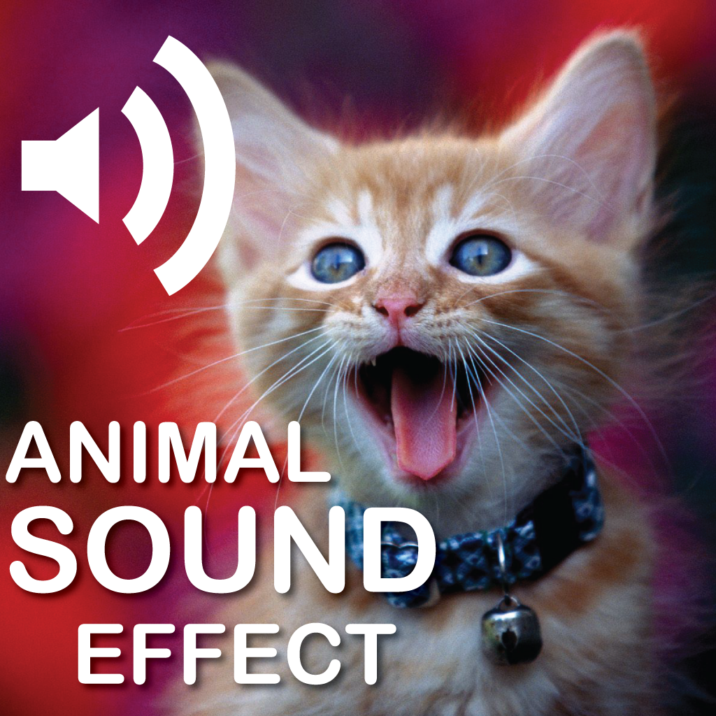 Animal Lovely Sound Board HD