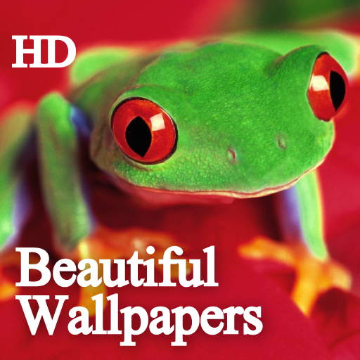 All Beautiful Wallpapers Collection HD