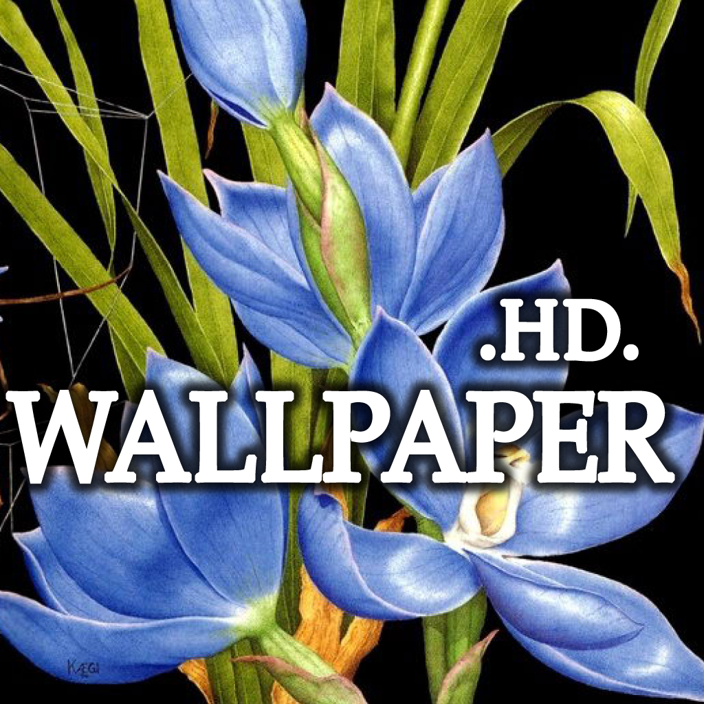 Beautiful Natual Wallpapers Collection HD