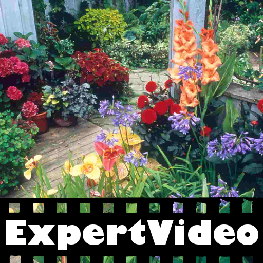 ExpertVideo: Gardening Basics