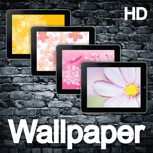 Amazing Flower Wallpaper HD