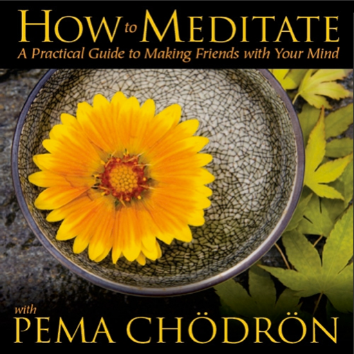 How to Meditate with Pema Chödrön A Practical Guide to Making Friends with Your Mind