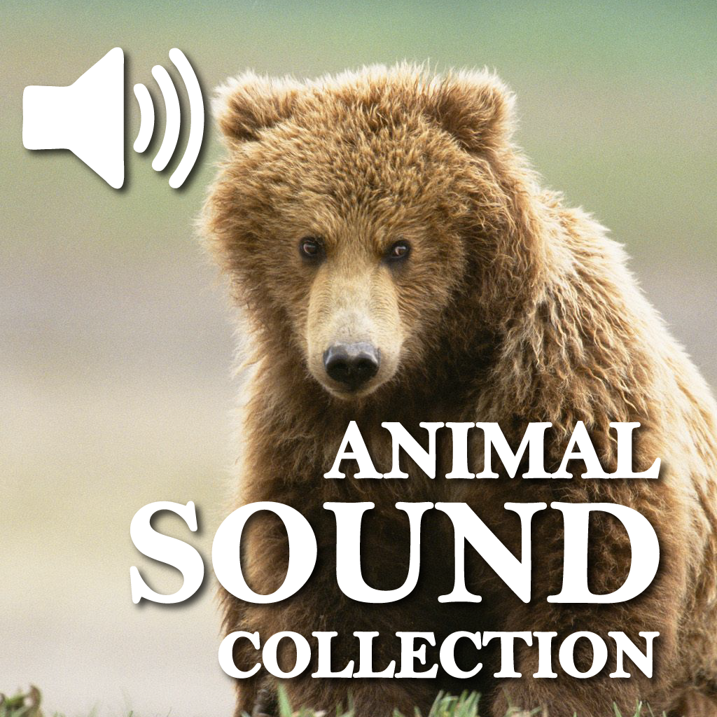 Animals Cute Sound Board HD