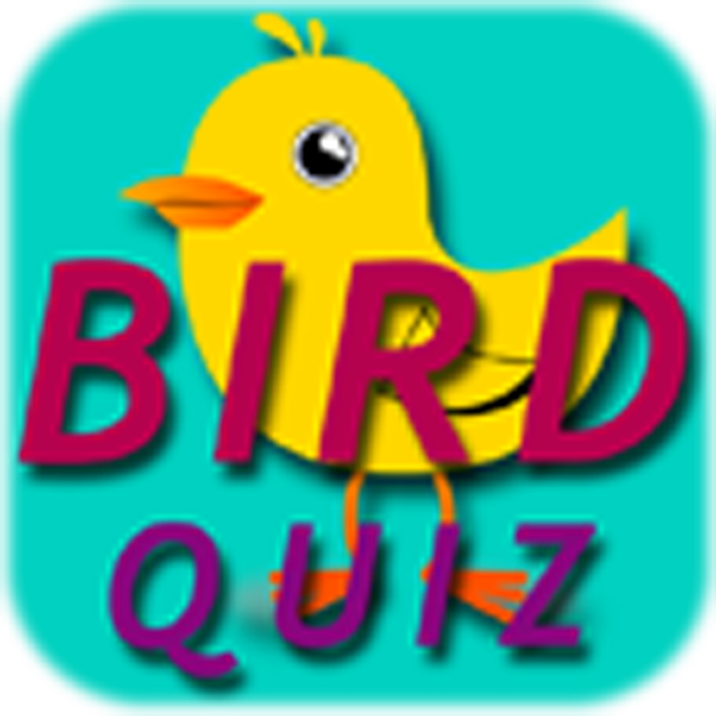 Bird Quiz fun game