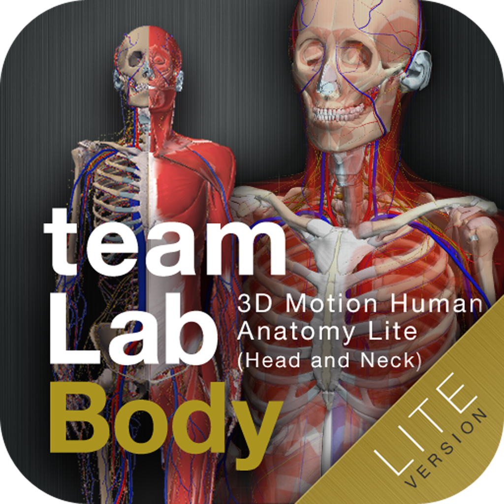 teamLabBody -3D Motion Human Anatomy Lite (Head and Neck)-