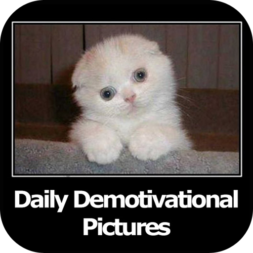 Daily Demotivational Pictures