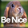 BNB (Be Nice to Bunnies