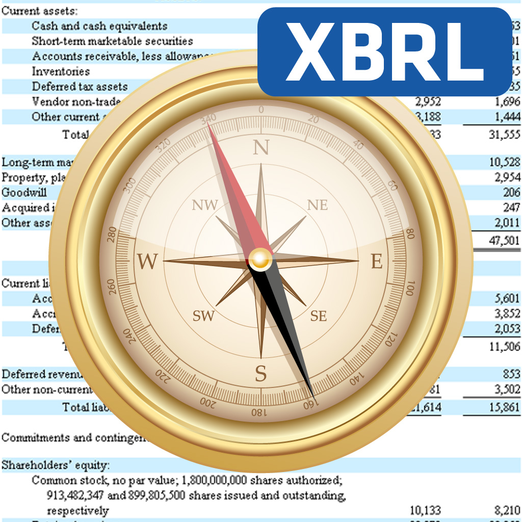 SEC Filings XBRL