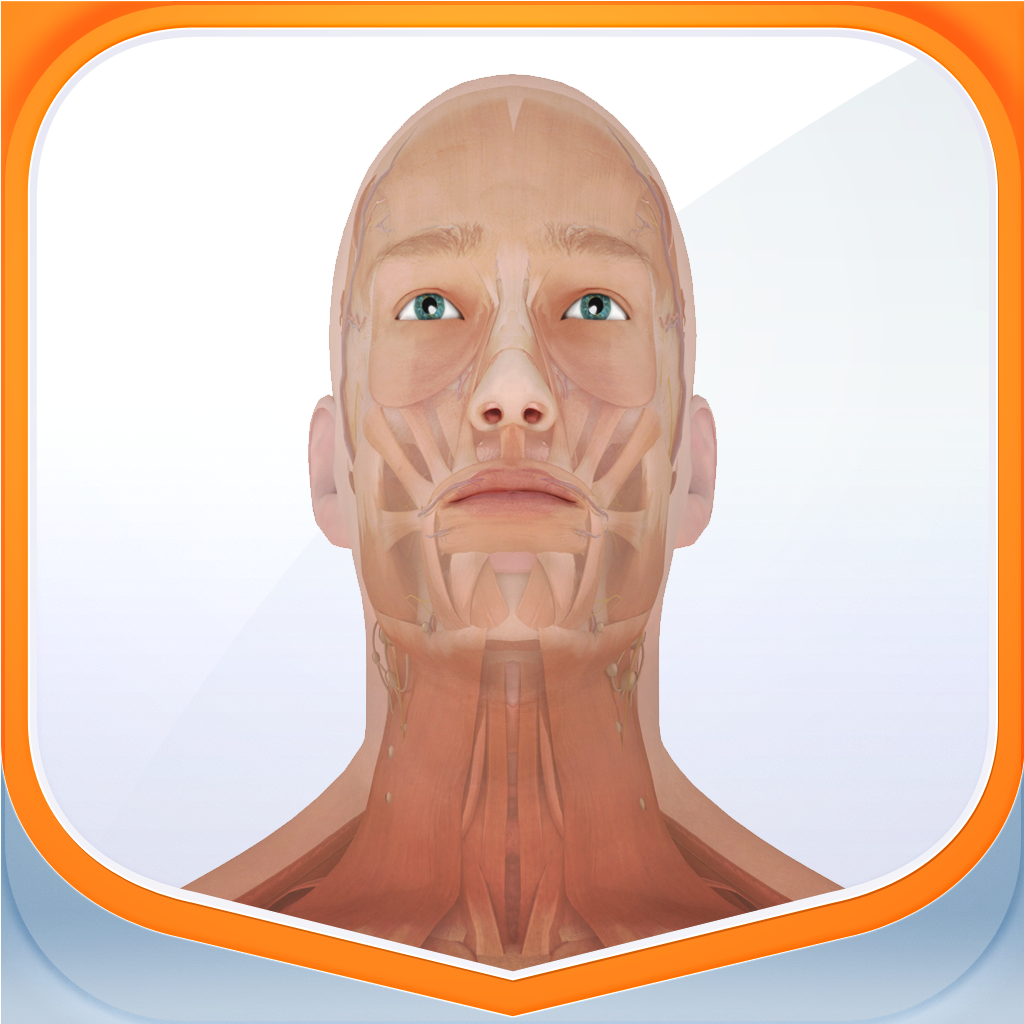 Pocket Body - Interactive Human Body