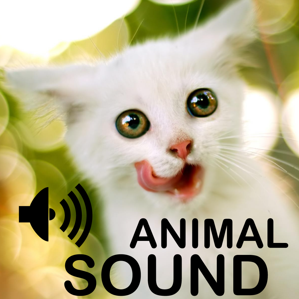 Animal Cute Sounds Collection