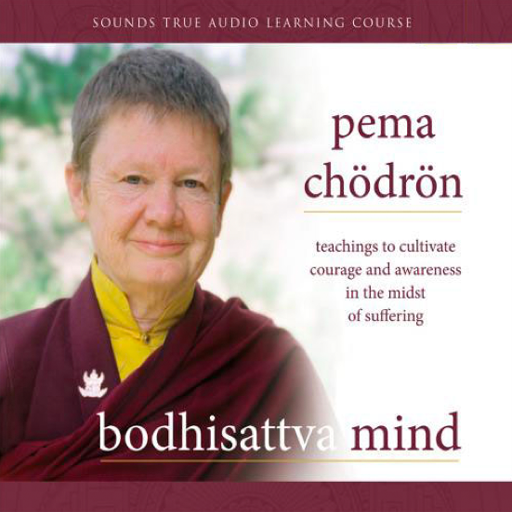 Bodhisattva Mind Teachings to Cultivate Courage and Awareness in the Midst of Suffering by Pema Chödrön