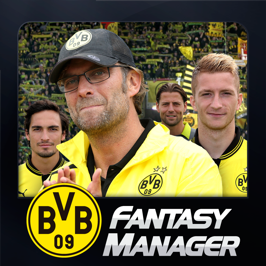BVB Fantasy Manager 2013 icon