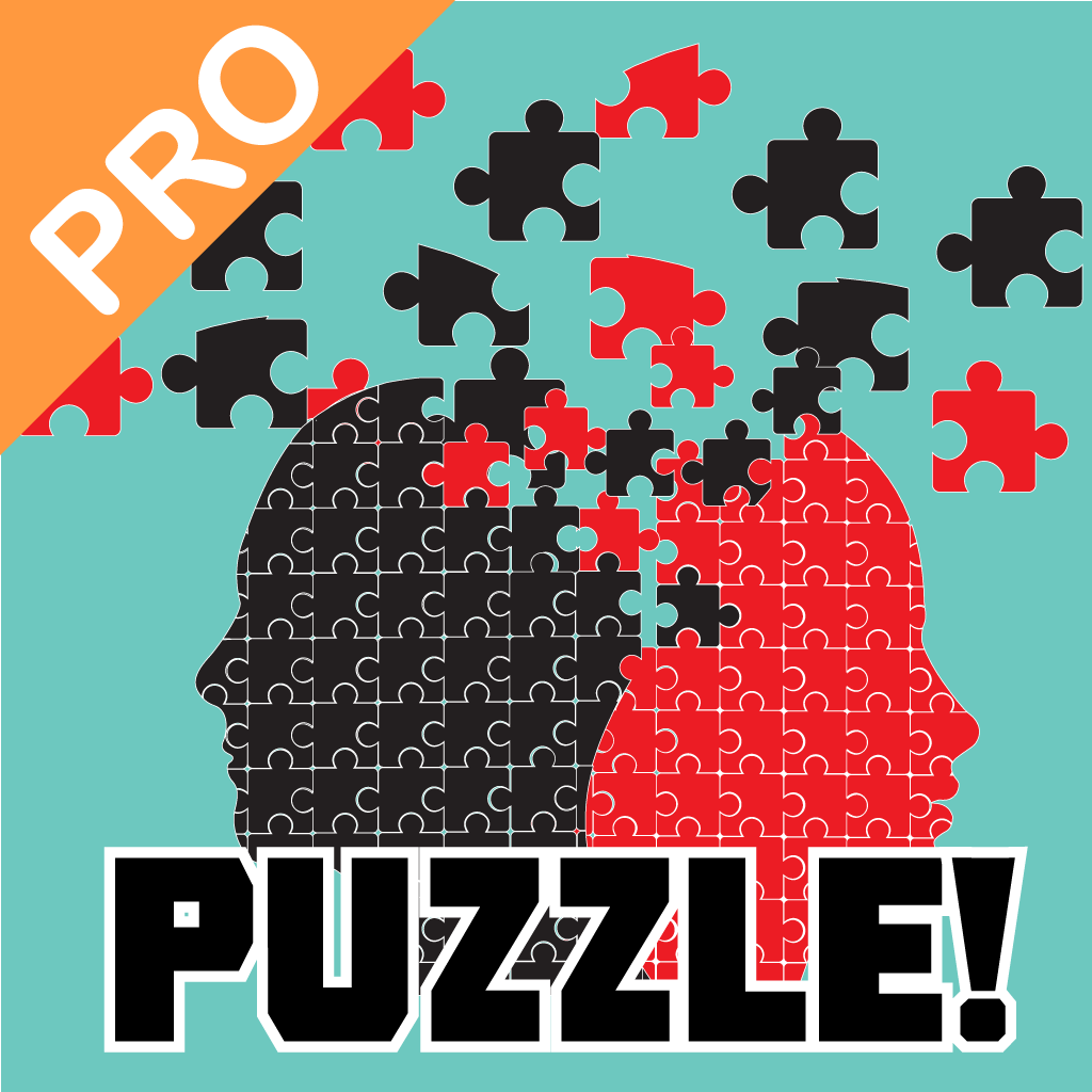 Amazing Puzzle Jigsaws