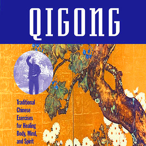 Qigong: Traditional Chinese Exercises-Instructional appVideo-iPad version