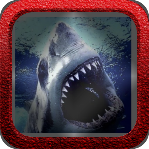 Starving Shark icon