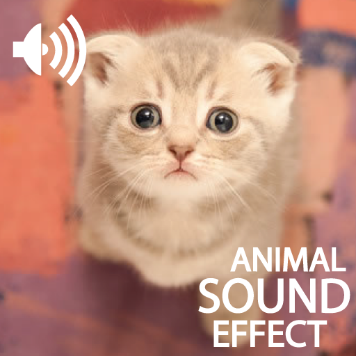 Animals Sound Board HD