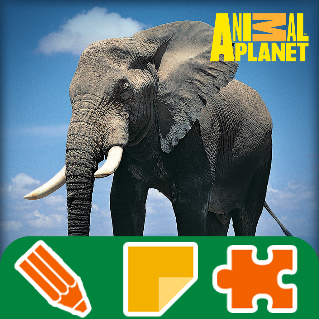Animal Planet Activity Book - Puzzles, Mazes, Coloring, Memory Games, Sticker Albums
