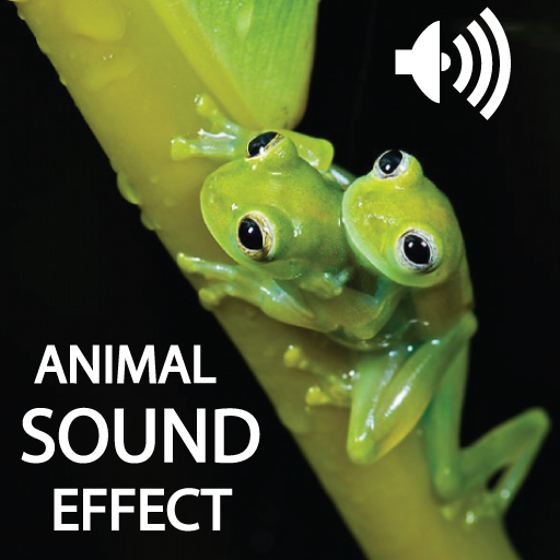 Animals Voices Collection HD