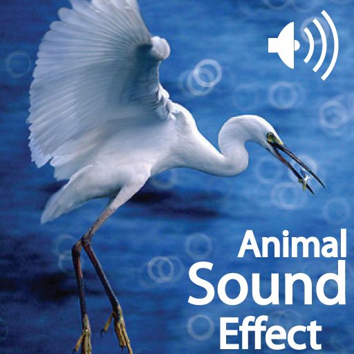 Animals Sound Appreciation HD
