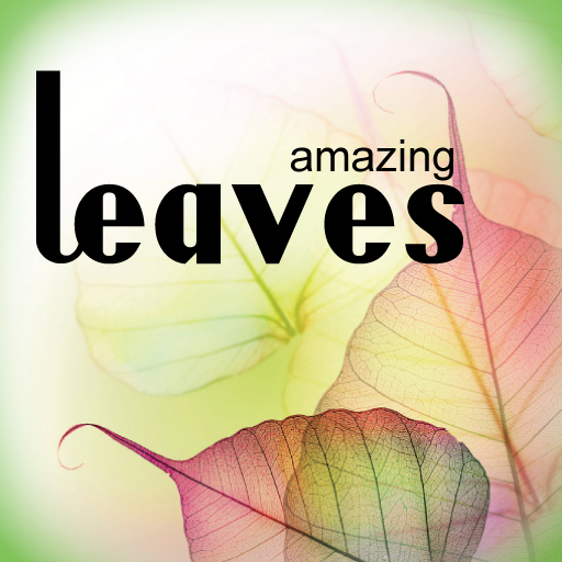 Amazing Leaves HD