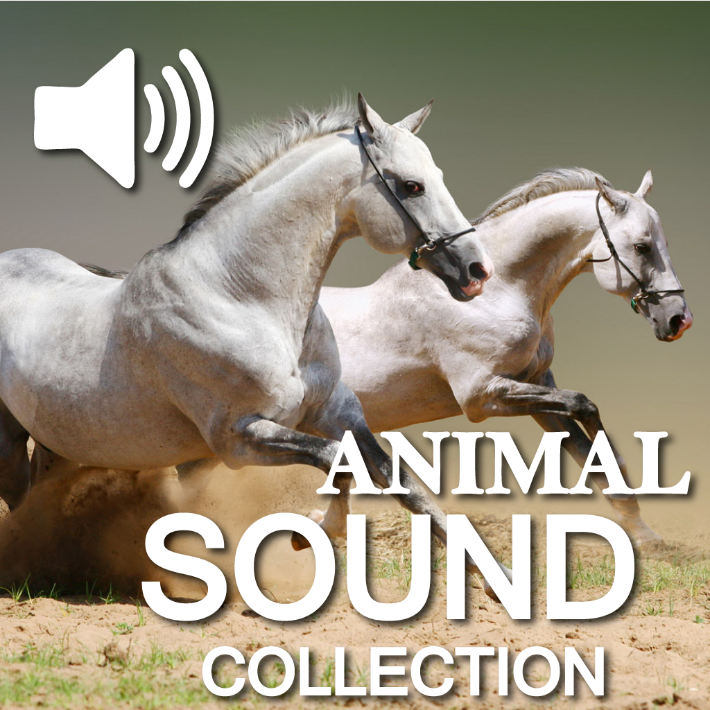 Animal Sounds Boards