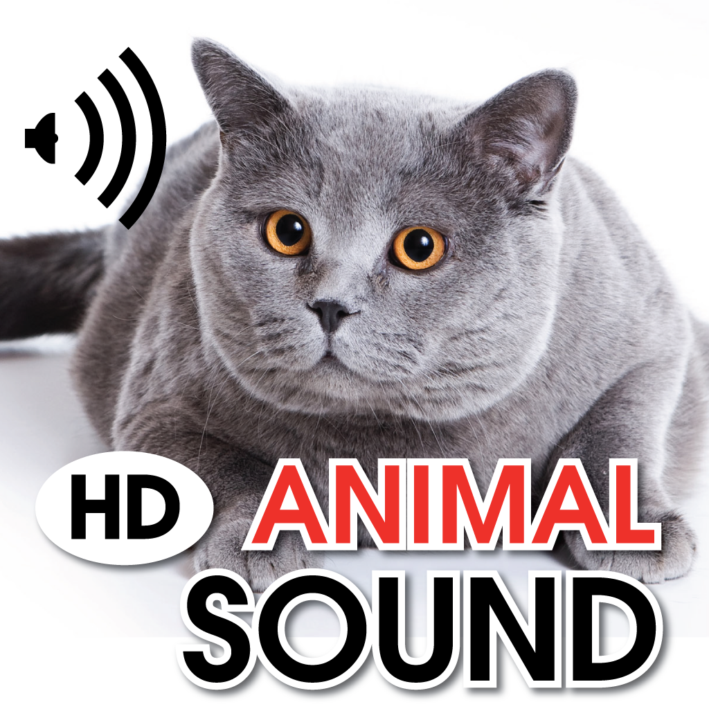 Animals Funny Sound Board HD