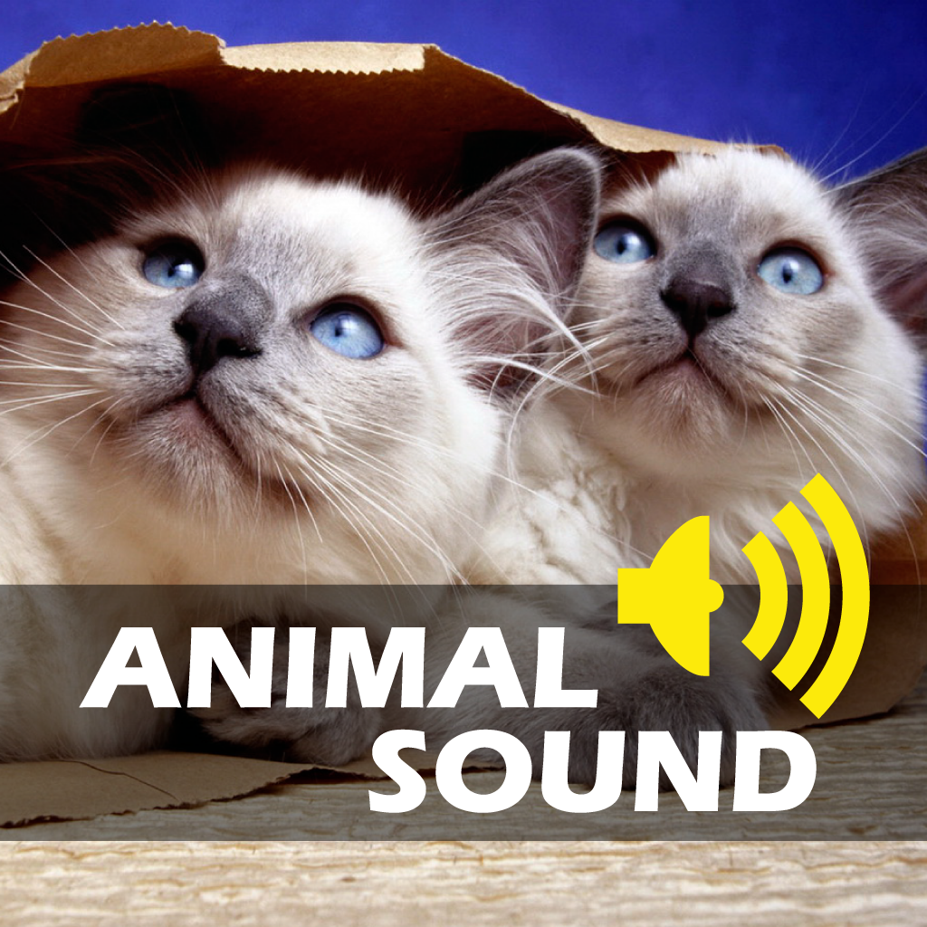 Animals Sounds Board