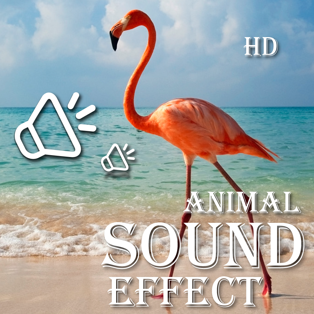 Animal Sounds Collection For Toddlers HD