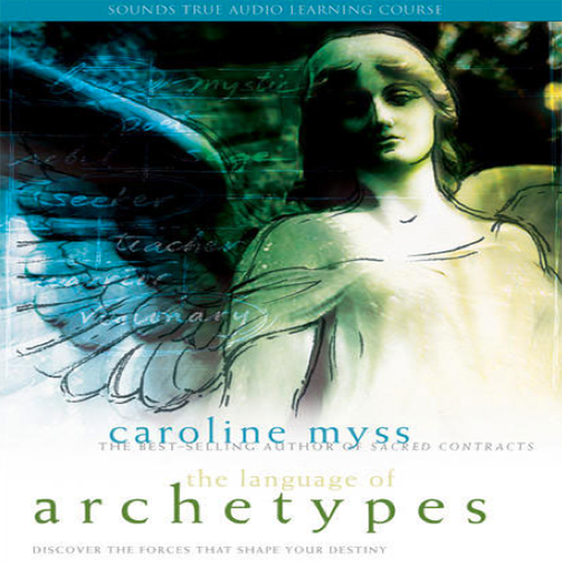 The Language of Archetypes Discover the Forces That Shape Your Destiny by Caroline Myss