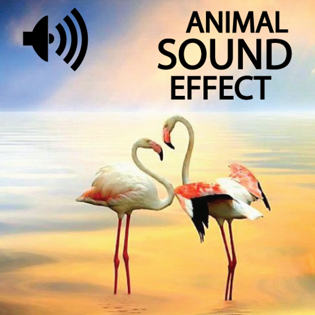 Animals Lovely Voice HD
