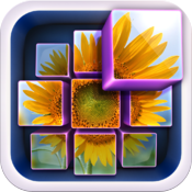 InstaMosaic - Photo Mosaic Generator