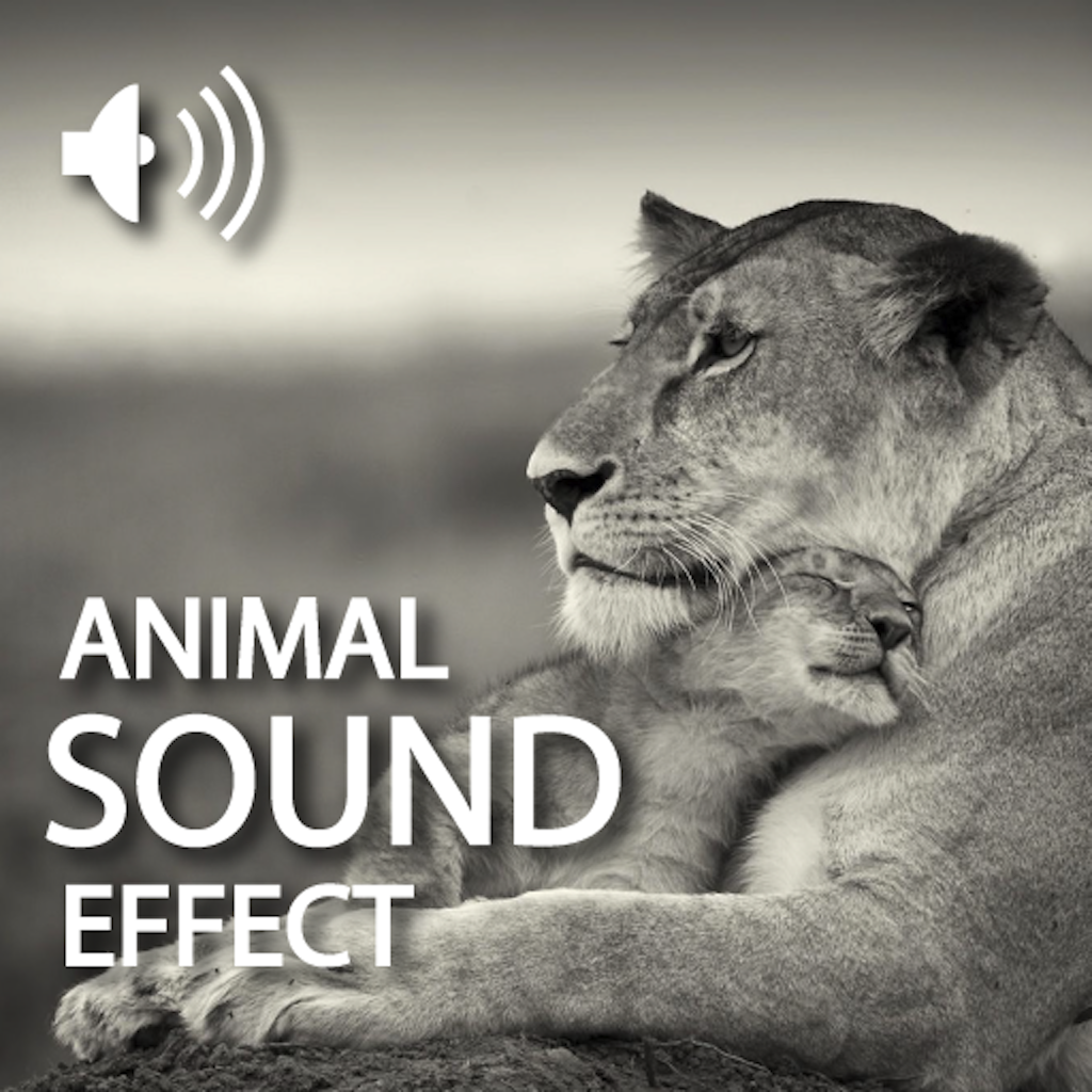 Animals Sound Effect HD