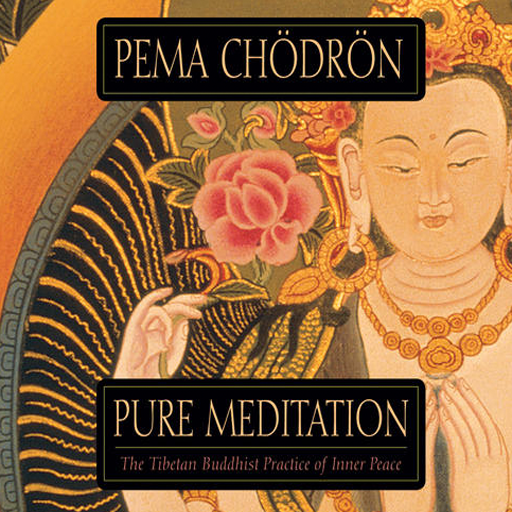 Pure Meditation The Tibetan Buddhist Practice of Inner Peace by Pema Chödrön